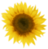 h1-image-slider-01.png