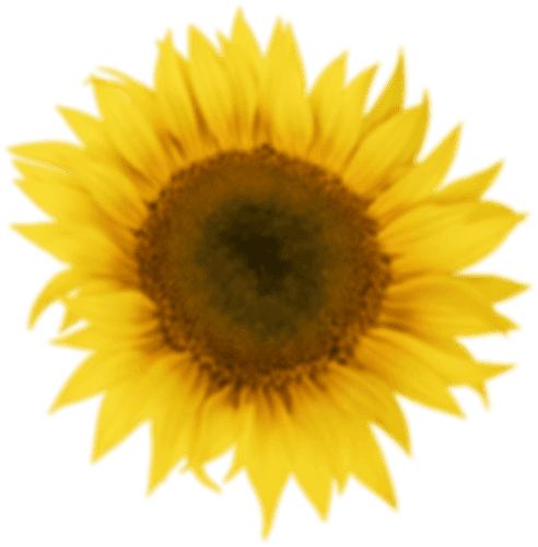 h1-image-slider-02.png