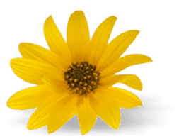 h1-image-slider-03-min.png