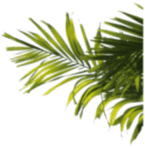 h1-image-slider-04.png