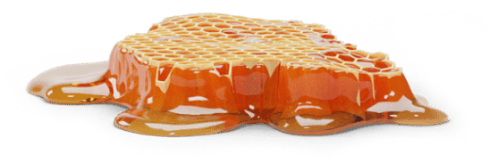 h1-image-slider-05-min.png