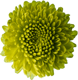 h1-image-slider-11-min.png