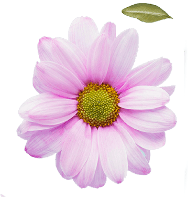 h1-image-slider-13-min.png