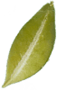 h1-image-slider-14-min.png