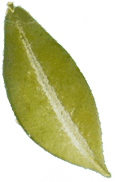 h1-image-slider-15-min.png