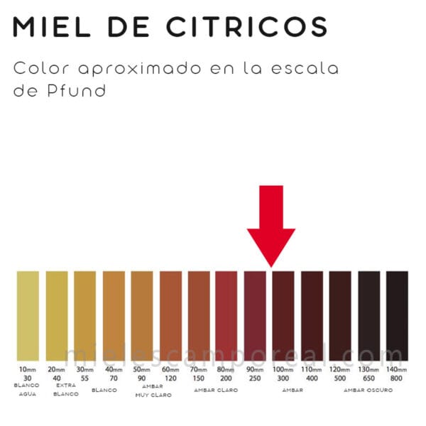 Color miel citricos