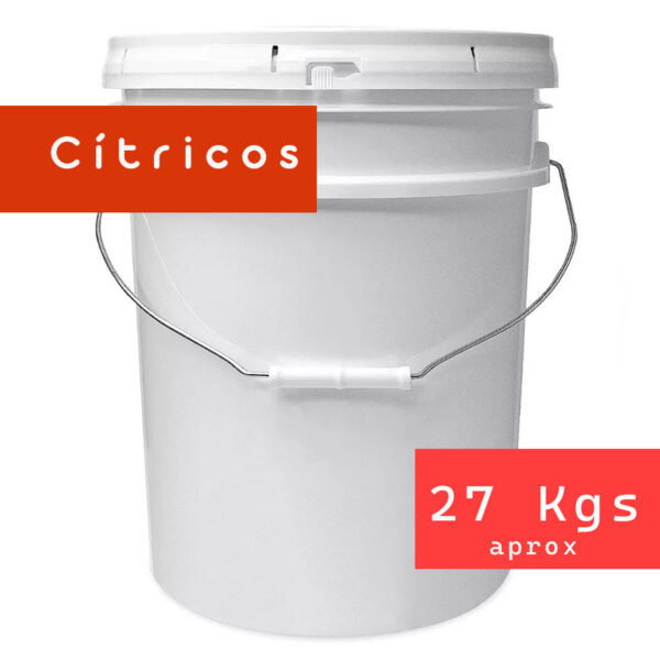cubeta de miel