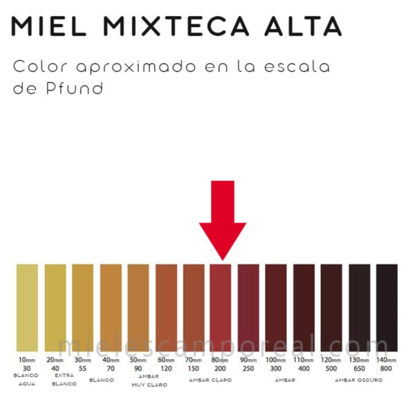 Miel de abeja pura