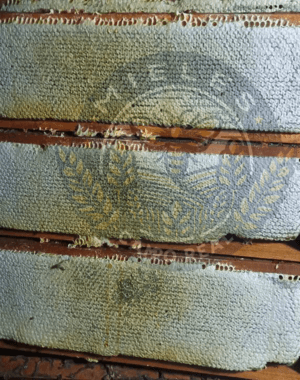 panal de abeja