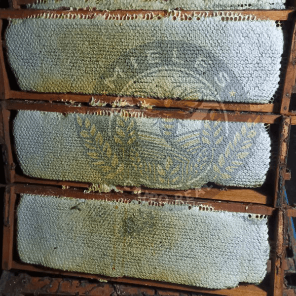 panal de abeja
